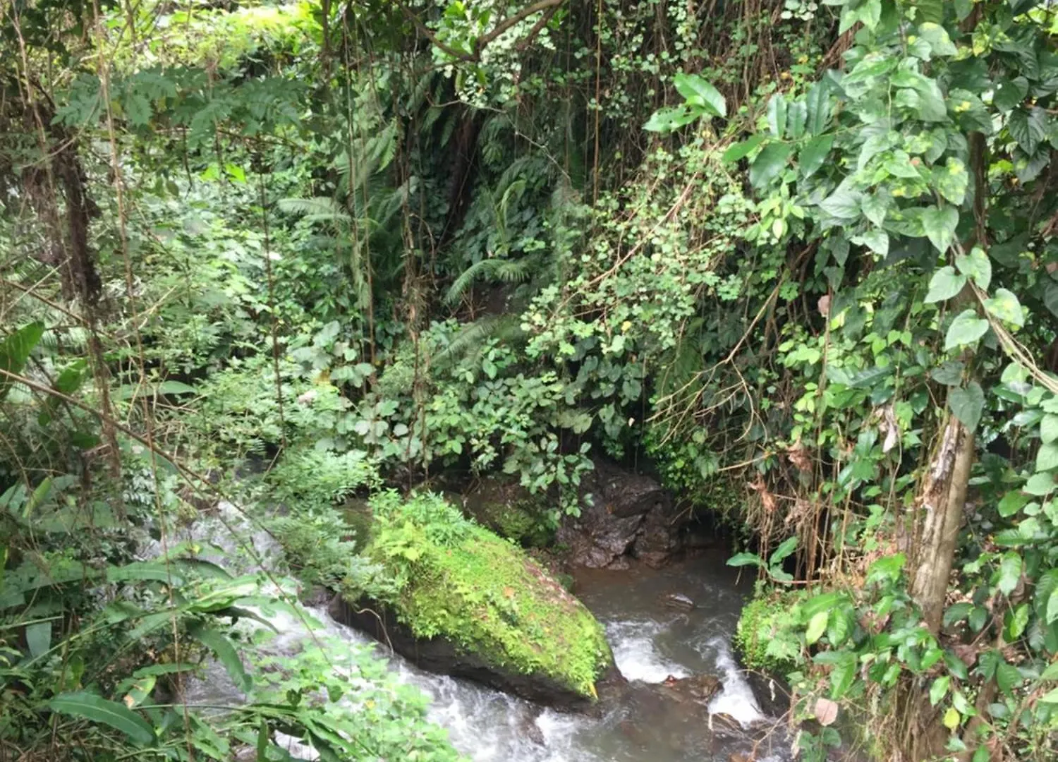 Willa Bati Private Luxury Living Ubud 0*,  Indonezja